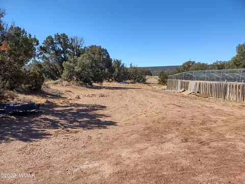 4326 Colt Rd, Snowflake, AZ 85937 photo 6