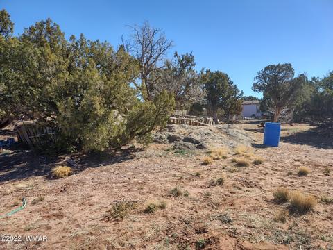 4326 Colt Rd, Snowflake, AZ 85937 photo 40