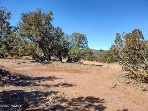 4326 Colt Rd, Snowflake, AZ 85937 photo 19
