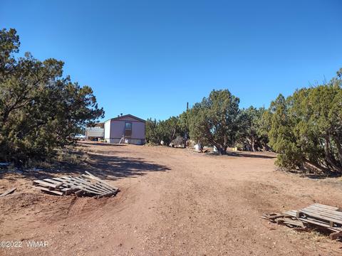 4326 Colt Rd, Snowflake, AZ 85937 photo 1