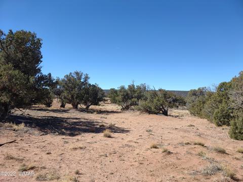 4326 Colt Rd, Snowflake, AZ 85937 photo 37