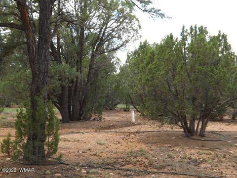Exterior - 2802 Chandelle Ln, Overgaard, AZ 85933 photo 7 of 7