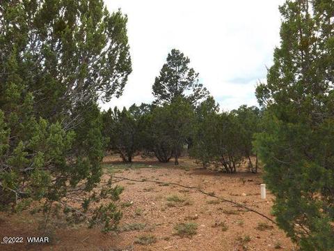 Exterior - 2802 Chandelle Ln, Overgaard, AZ 85933 photo 6 of 7