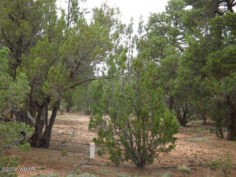 Other - 2802 Chandelle Ln, Overgaard, AZ 85933 photo 5 of 6
