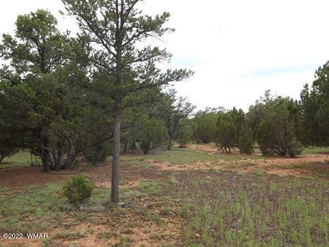 Other - 2802 Chandelle Ln, Overgaard, AZ 85933 photo 6 of 6