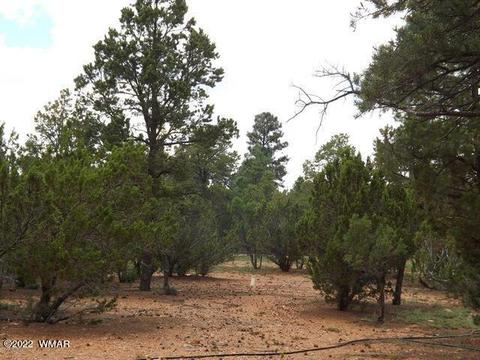 Exterior - 2802 Chandelle Ln, Overgaard, AZ 85933 photo 5 of 7