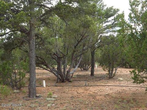 Exterior - 2802 Chandelle Ln, Overgaard, AZ 85933 photo 4 of 7