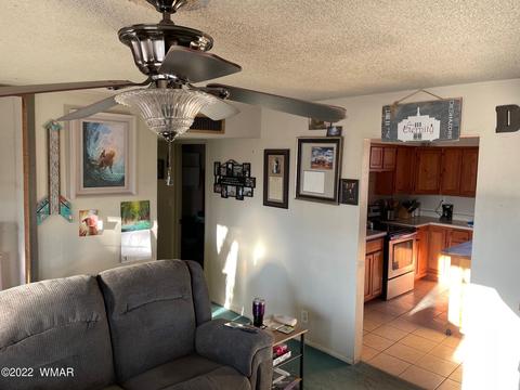 36 S Sheldon Ave, Springerville, AZ 85938 photo 5