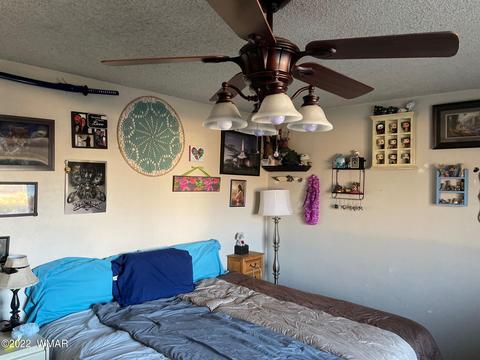 36 S Sheldon Ave, Springerville, AZ 85938 photo 8