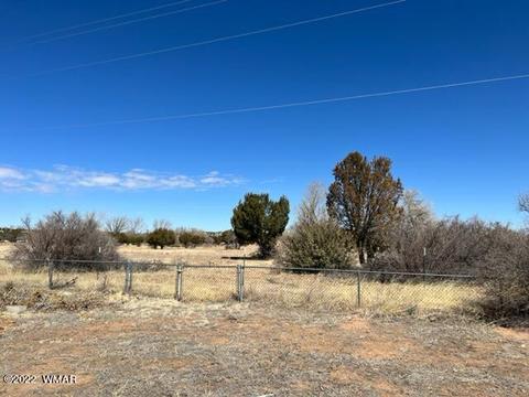 20 Putter Ln, Concho, AZ 85924 photo 18