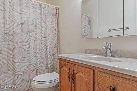 20 Putter Ln, Concho, AZ 85924 photo 14