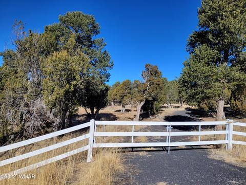 2970 Ranch House Rd, Overgaard, AZ 85933 photo 1