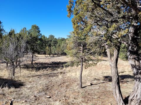 2970 Ranch House Rd, Overgaard, AZ 85933 photo 4