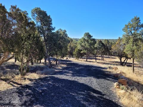 2970 Ranch House Rd, Overgaard, AZ 85933 photo 2