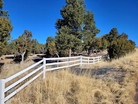 2970 Ranch House Rd, Overgaard, AZ 85933 photo 5