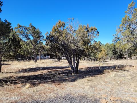 2970 Ranch House Rd, Overgaard, AZ 85933 photo 3