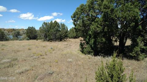 Tbd E Adams, Show Low, AZ 85901 photo 3