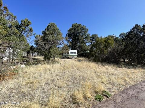 2186 Western Star Dr, Overgaard, AZ 85933 photo 3