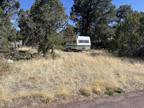 2186 Western Star Dr, Overgaard, AZ 85933 photo 2