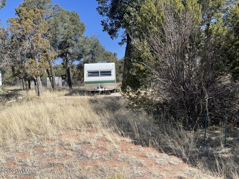 2186 Western Star Dr, Overgaard, AZ 85933 photo 5
