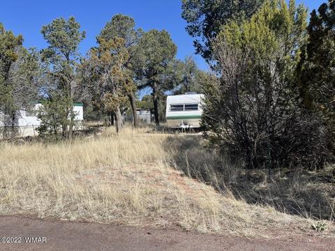 2186 Western Star Dr, Overgaard, AZ 85933 photo 1