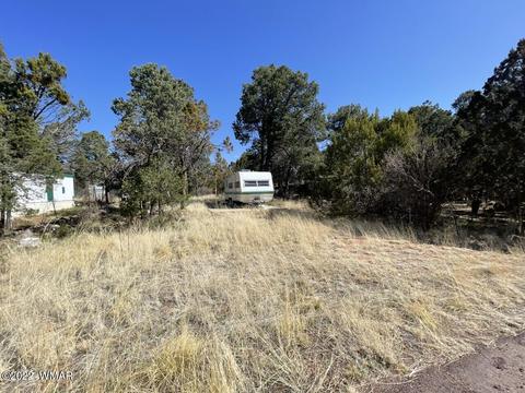2186 Western Star Dr, Overgaard, AZ 85933 photo 4