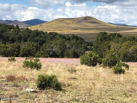 Undisclosed, Eagar, AZ 85925