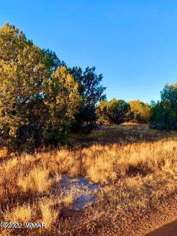 8435 Apache Dr, Show Low, AZ 85901 photo 2