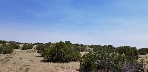 lot253 Woodland Valley Rnch, Saint Johns, AZ 85936