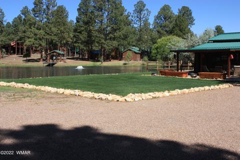 2308 Bison Ranch Trl, Overgaard, AZ 85933 photo 3