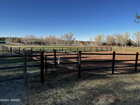 2308 Bison Ranch Trl, Overgaard, AZ 85933 photo 54