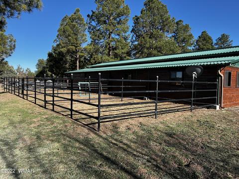 2308 Bison Ranch Trl, Overgaard, AZ 85933 photo 17
