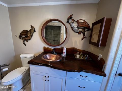 2308 Bison Ranch Trl, Overgaard, AZ 85933 photo 40