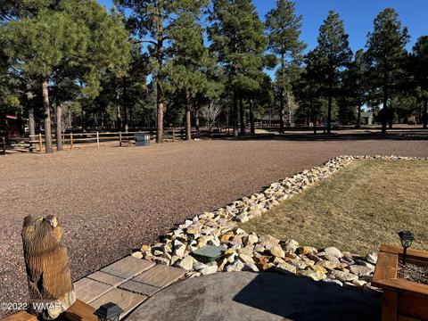 2308 Bison Ranch Trl, Overgaard, AZ 85933 photo 12