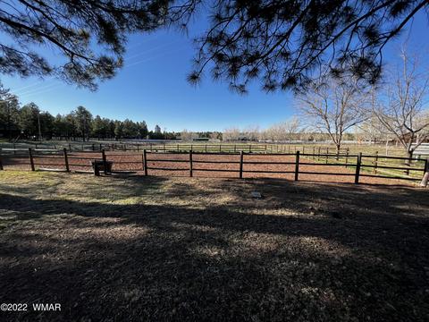 2308 Bison Ranch Trl, Overgaard, AZ 85933 photo 16