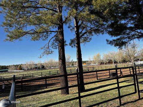 2308 Bison Ranch Trl, Overgaard, AZ 85933 photo 14