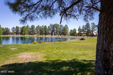 2308 Bison Ranch Trl, Overgaard, AZ 85933 photo 57