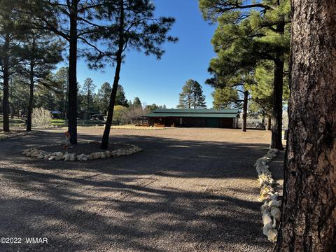 2308 Bison Ranch Trl, Overgaard, AZ 85933 photo 4