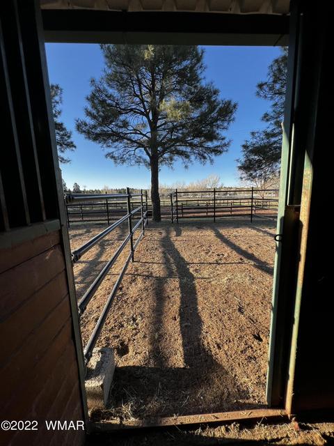 2308 Bison Ranch Trl, Overgaard, AZ 85933 photo 50