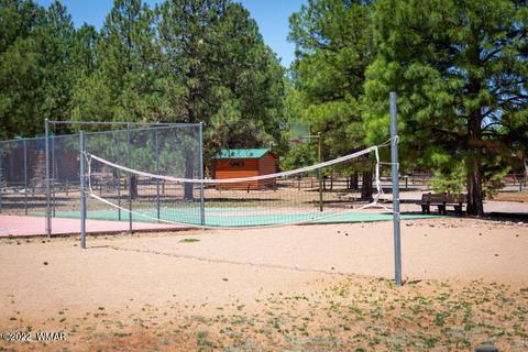 2308 Bison Ranch Trl, Overgaard, AZ 85933 photo 64