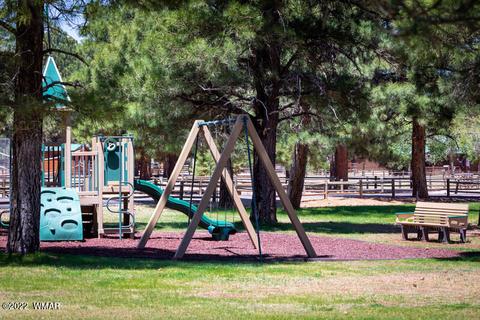 2308 Bison Ranch Trl, Overgaard, AZ 85933 photo 61