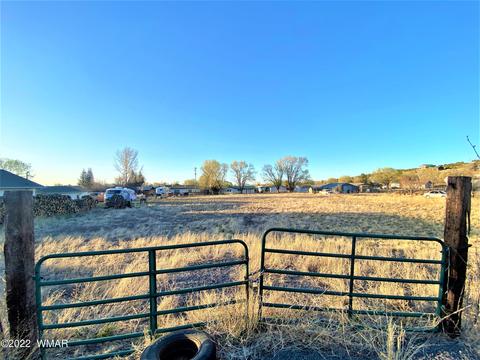 246 E Central Ave, Eagar, AZ 85925 photo 1