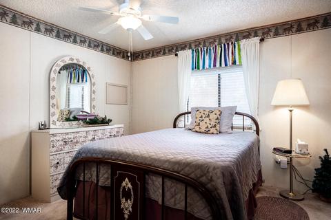 2865 Rainbow Trl, Overgaard, AZ 85933 photo 11