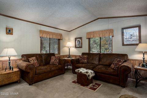 2865 Rainbow Trl, Overgaard, AZ 85933 photo 4