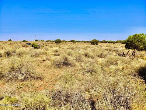 8742 E Concho Hwy, Snowflake, AZ 85937 photo 1