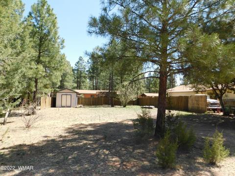 2891 Big Pine Rd, Overgaard, AZ 85933 photo 2