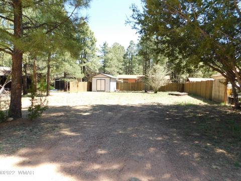 2891 Big Pine Rd, Overgaard, AZ 85933 photo 1