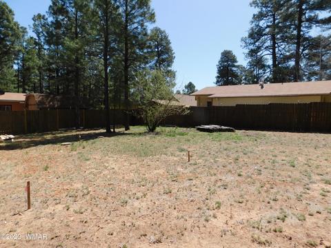 2891 Big Pine Rd, Overgaard, AZ 85933 photo 4
