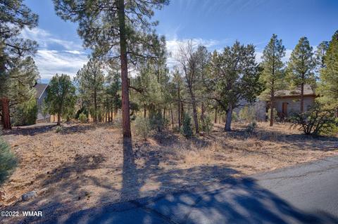 3980 Sugar Pine Loop, Show Low, AZ 85901 photo 6