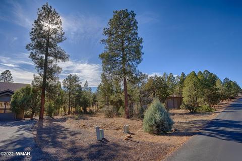 3980 Sugar Pine Loop, Show Low, AZ 85901 photo 5